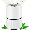 دستگاه تصفیه هوا A19 با فیلتر چهار لایه LOFTER A19 (بار آمازون)- کیفیت عالی، برند شناخته شده جهانی