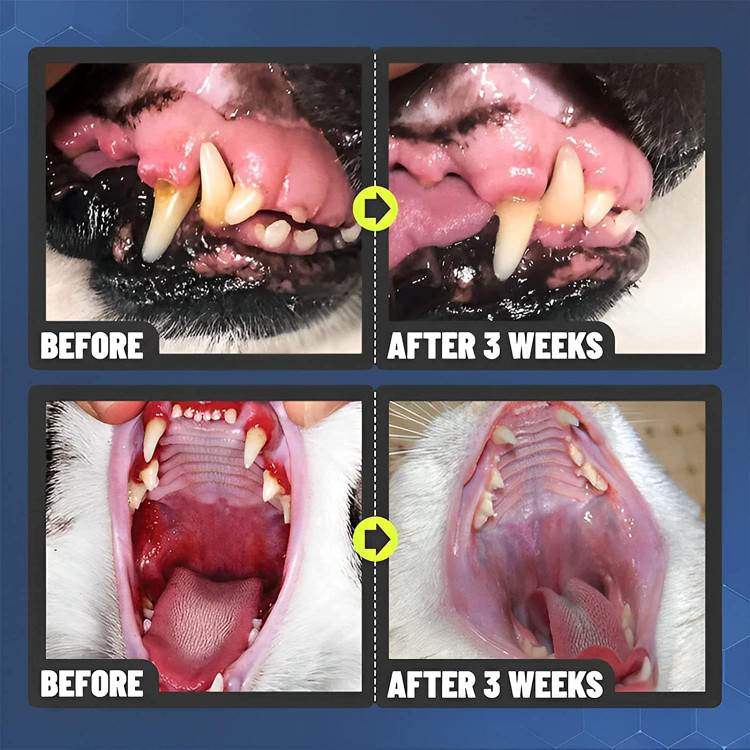اسپری تمیز کننده دندان DUHANXI PetClean برای سگ و گربه، مسواک زدن اسپرینو برای مراقبت از دهان حیوانات خانگی، اسپری تمیز کردن دندان حیوانات خانگی، خوشبو کننده نفس گربه سگ، درمان بوی بد حیوانات خانگی (1 عدد)- تهران فوری