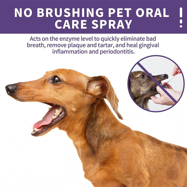 اسپری تمیز کننده دندان DUHANXI PetClean برای سگ و گربه، مسواک زدن اسپرینو برای مراقبت از دهان حیوانات خانگی، اسپری تمیز کردن دندان حیوانات خانگی، خوشبو کننده نفس گربه سگ، درمان بوی بد حیوانات خانگی (1 عدد)- تهران فوری
