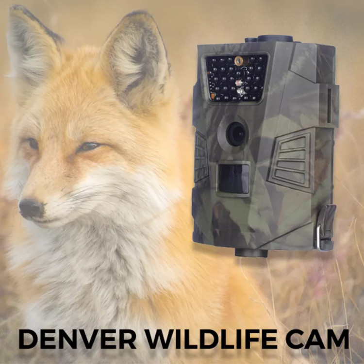 دوربین شکار، حیات وحش، دوربین دیجیتال حیات وحش Denver WCT-5002 - سنسور CMOS 5 مگاپیکسلی، 1080p Full HD، 30 LED مادون قرمز، IP65 ضد آب، شامل 8 گیگابایت کارت SD و باتریهای قلمی