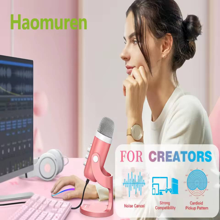 فروش میکروفون حرفهای Haomuren K66 - کیفیت عالی برای ضبط صدا