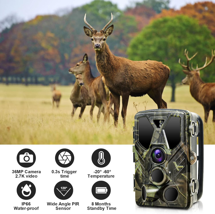 دوربین شکار SUNTEKCAM مخصوص حیات وحش 36 مگاپیکسل 2.7K با کارت حافظه 16 گیگابایتی SD، تله فوتو برای دید در شب مادون قرمز با IR LED 940nm، تایمر و ضد آب IP66-HC-812A س1
