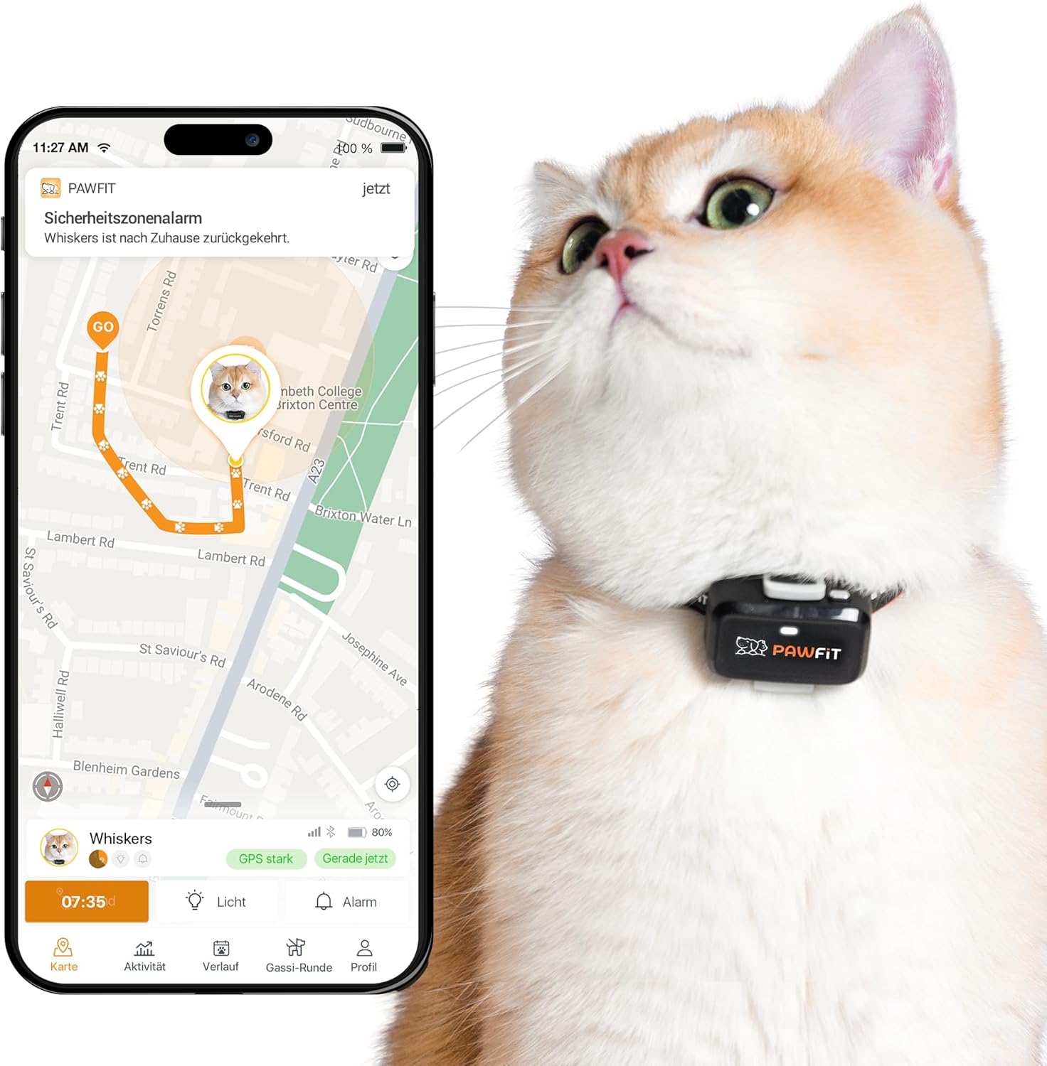 ردیاب جی‌پی‌اس Pawfit Lite با قابلیت اتصال به شبکه 4G برای گربه‌ها | ردیابی لحظه‌ای | نظارت بر فعالیت | ثبت موقعیت مکانی | برد نامحدود | شامل قلاده با قفل کلیکی |-- رنگ ابی کم رنگ ن0