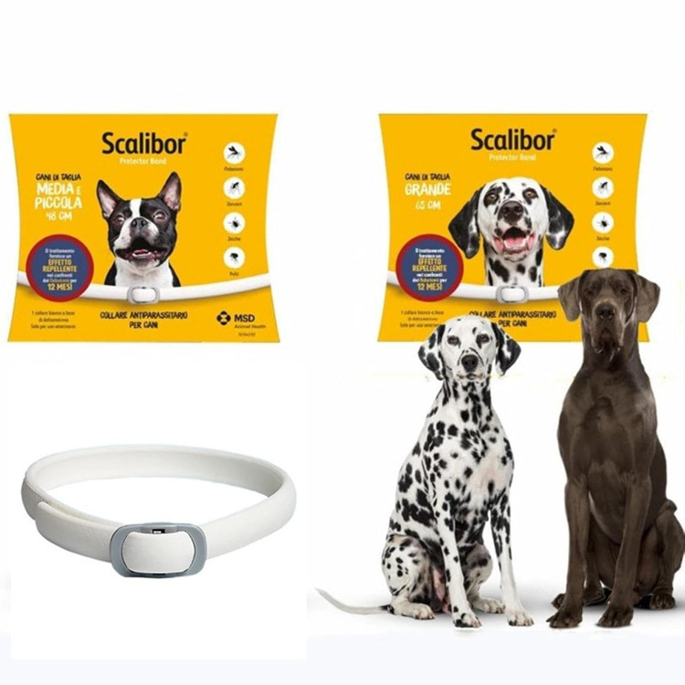 قلاده ضد کک Enakshi® Pets، محافظ حیوانات خانگی ضد آب برای گربهها، قلاده گربه سایز متوسط ۴۸ سانتیمتر، هلندی|لوازم حیوانات خانگی | لوازم سگ | قلاده س1