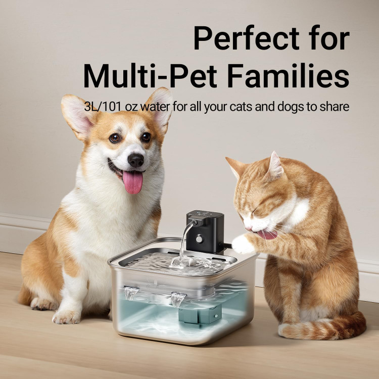 آبخوری تمام استیل مدل --dpwfp6fs برند downypaws م1