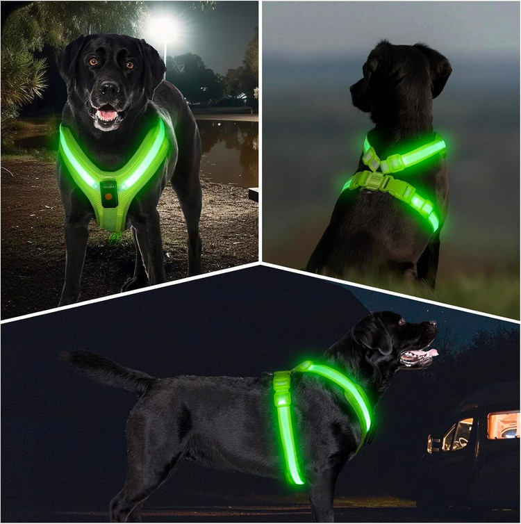 مهار سگ - قلاده کتفی چراغ دار، جلیقه LED بازتابنده سگ، درخشان در تاریکی، مناسب برای پیادهروی در شب (سبز، سایز مدیوم) ن1