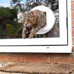 درب تردد سگ و گربه SureFlap -- Sure Petcare DualScan Microchip ن1