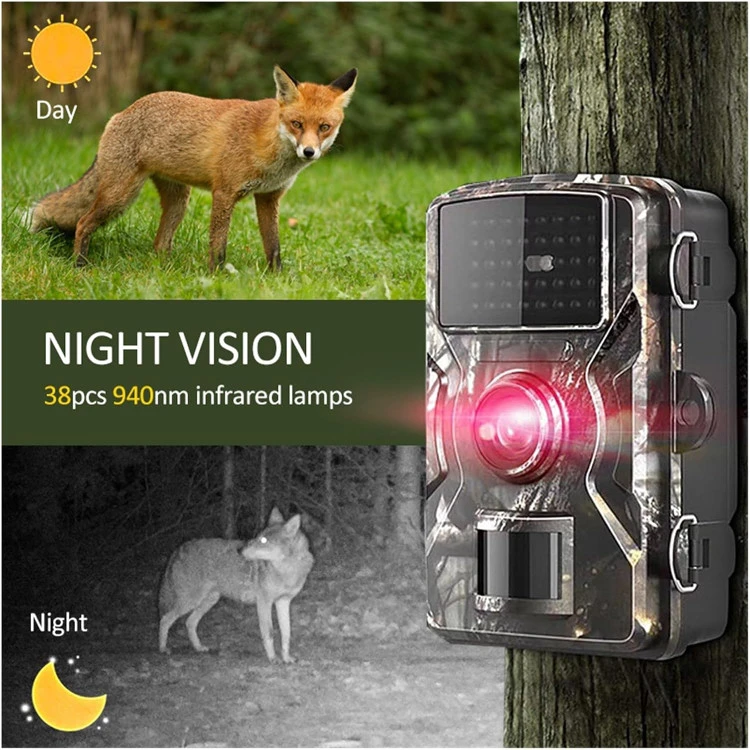 دوربین تلهای Trail Camera DL001 با دید در شب و سنسور حرکتی ن1