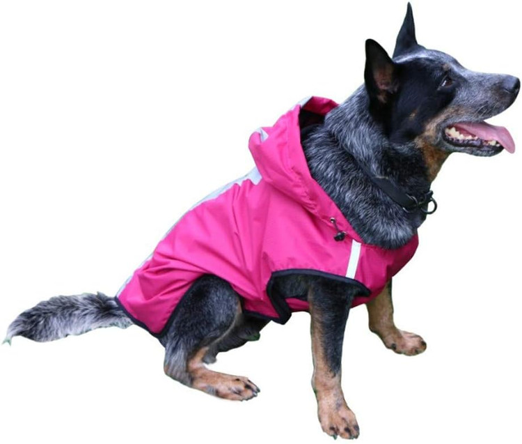 کاپشن سگ ضد آب کلاه دار سایز M بسیار شیک و زیبا برند شبرنگ ن1