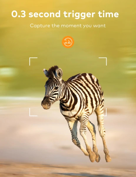 دوربین تله ای حیات وحش Apeman مدل H80 Wildlife Camera ن1