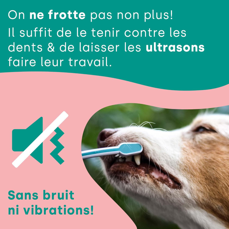 مسواک برقی سگ و گربه - مسواک اولتراسونیک emmi-pet PRO مخصوص سگها - مسواک بیصدا برای سگها و گربهها، بدون اصطکاک با ۹۶ میلیون لرزش، از ایجاد جرم و التهاب جلوگیری میکند. ن1