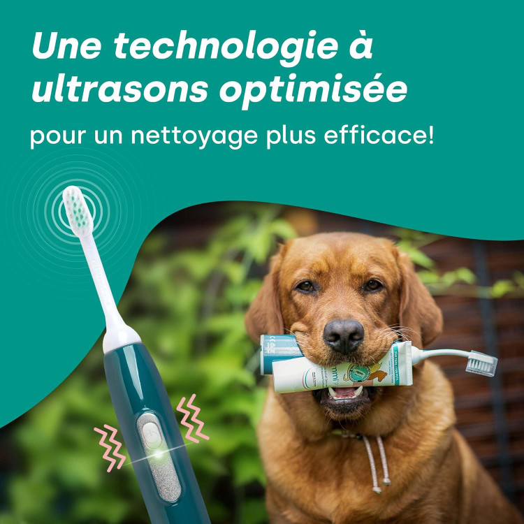 مسواک برقی سگ و گربه - مسواک اولتراسونیک emmi-pet PRO مخصوص سگها - مسواک بیصدا برای سگها و گربهها، بدون اصطکاک با ۹۶ میلیون لرزش، از ایجاد جرم و التهاب جلوگیری میکند. ن1