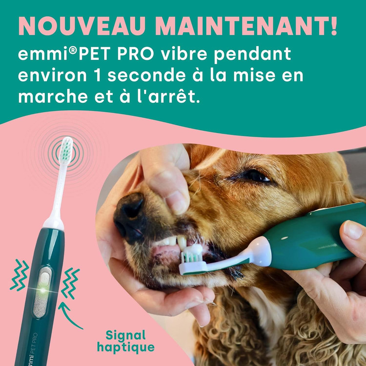 مسواک برقی سگ و گربه - مسواک اولتراسونیک emmi-pet PRO مخصوص سگها - مسواک بیصدا برای سگها و گربهها، بدون اصطکاک با ۹۶ میلیون لرزش، از ایجاد جرم و التهاب جلوگیری میکند. ن1