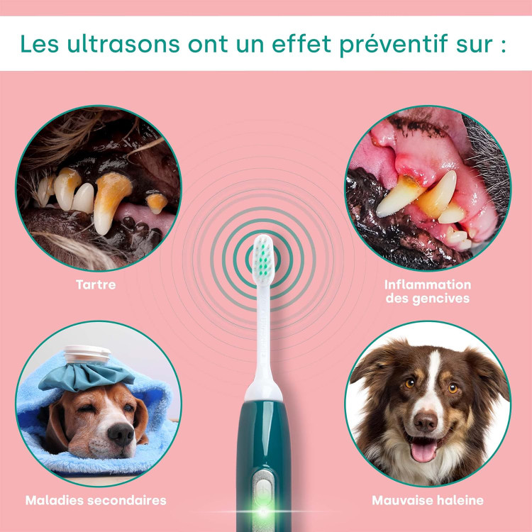 مسواک برقی سگ و گربه - مسواک اولتراسونیک emmi-pet PRO مخصوص سگها - مسواک بیصدا برای سگها و گربهها، بدون اصطکاک با ۹۶ میلیون لرزش، از ایجاد جرم و التهاب جلوگیری میکند. ن1