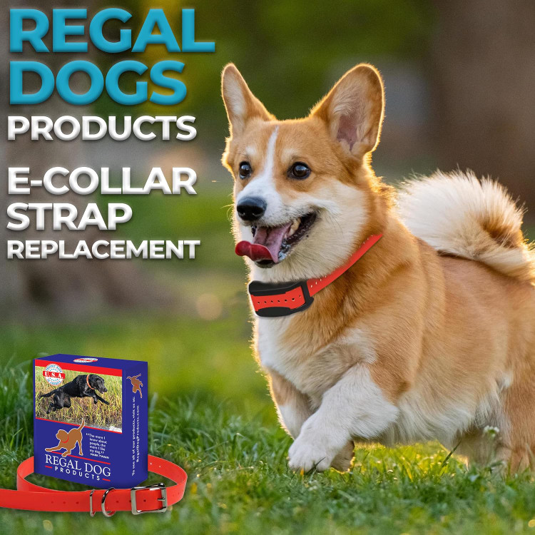 قلاده ۴۳ سانتی متری (و کوچکتر) بندهای جایگزین قلاده الکترونیکی Regal Dog Products