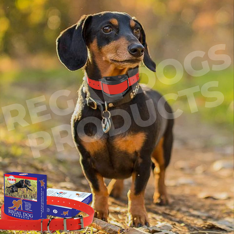 قلاده ۴۳ سانتی متری (و کوچکتر) بندهای جایگزین قلاده الکترونیکی Regal Dog Products