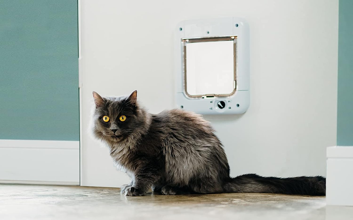 درب هوشمند ورود گربه - میکروچیپ Cat Mate، میکروچیپ Cat Flap برای فعال شدن تا 30 گربه - 15 در 15 cm - سفید