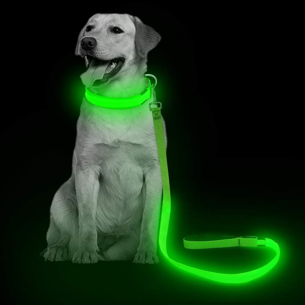 بند سگ - قلاده سگ LED مدل VIZPET - قلاده نایلونی چراغ‌دار و قابل شارژ با USB - طول ۴۷.۲ اینچ، دارای ۳ حالت چشمک‌زن و سگک فلزی - 120 سانتی - نوری