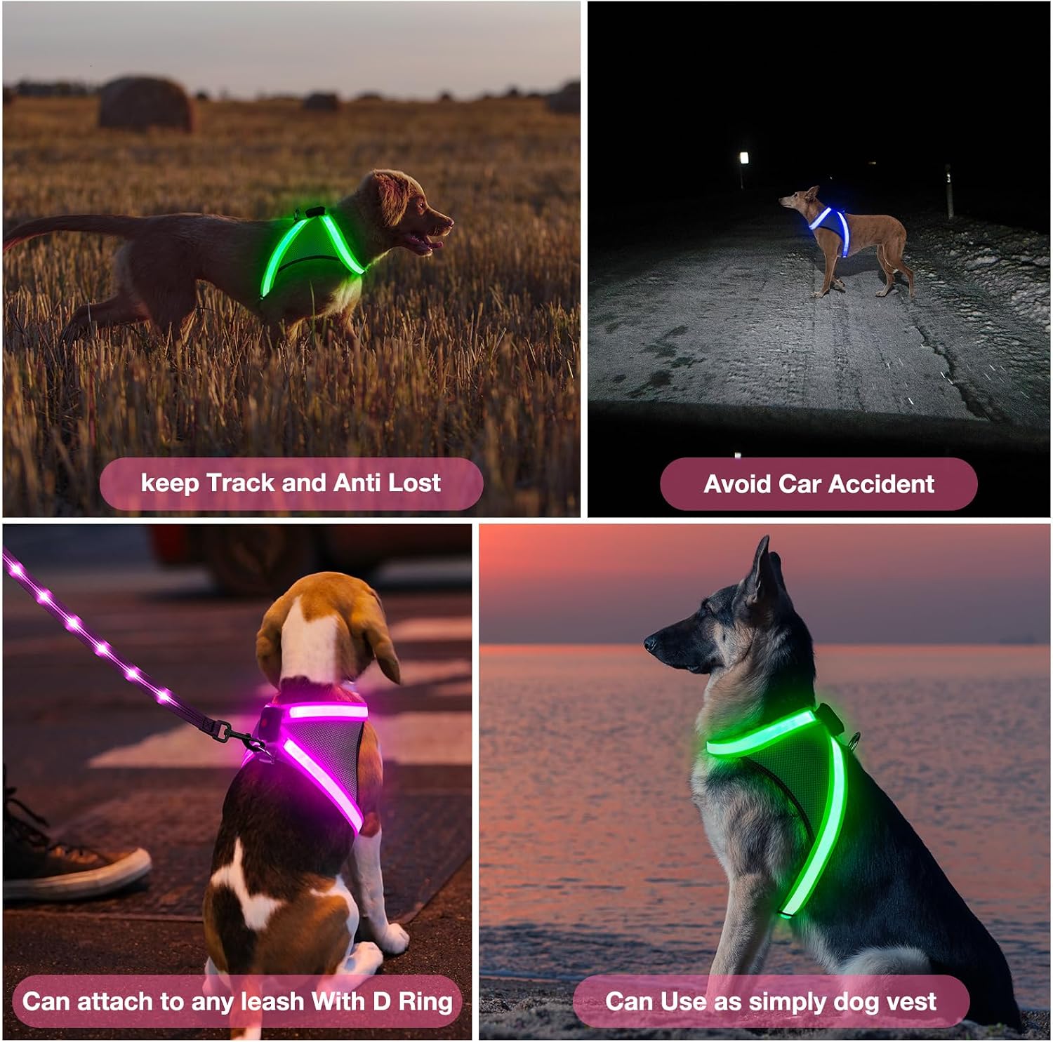 قلاده هارنس LED سگ ChalkLit مدل شبتاب | قلاده ضدکشیدگی قابل تنظیم با نور ۳۶۰ درجه و شارژ USB (سایز L، رنگ صورتی)