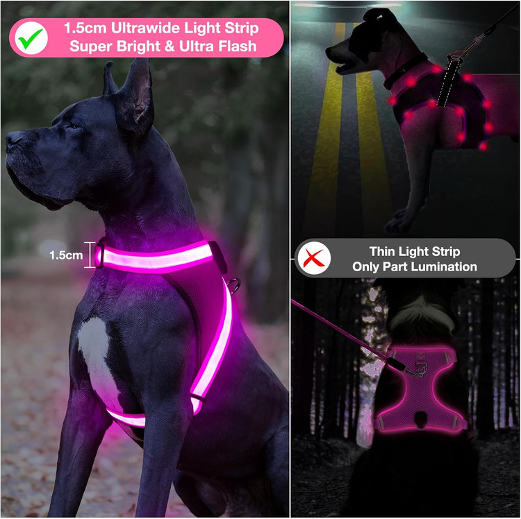 قلاده هارنس LED سگ ChalkLit مدل شبتاب | قلاده ضدکشیدگی قابل تنظیم با نور ۳۶۰ درجه و شارژ USB (سایز L، رنگ صورتی)