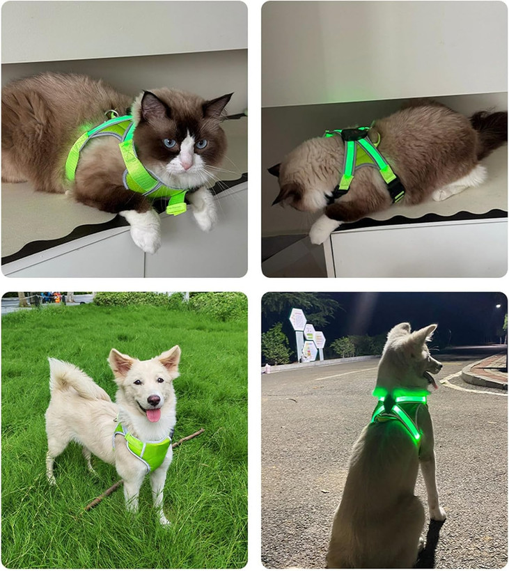 هارنس آموزشی سگ TEMOOUES مدل LED دار | قلاده ضدفرار مقاوم برای سگهای بزرگ با دسته کنترلی نرم و شارژ (USB) سایز L