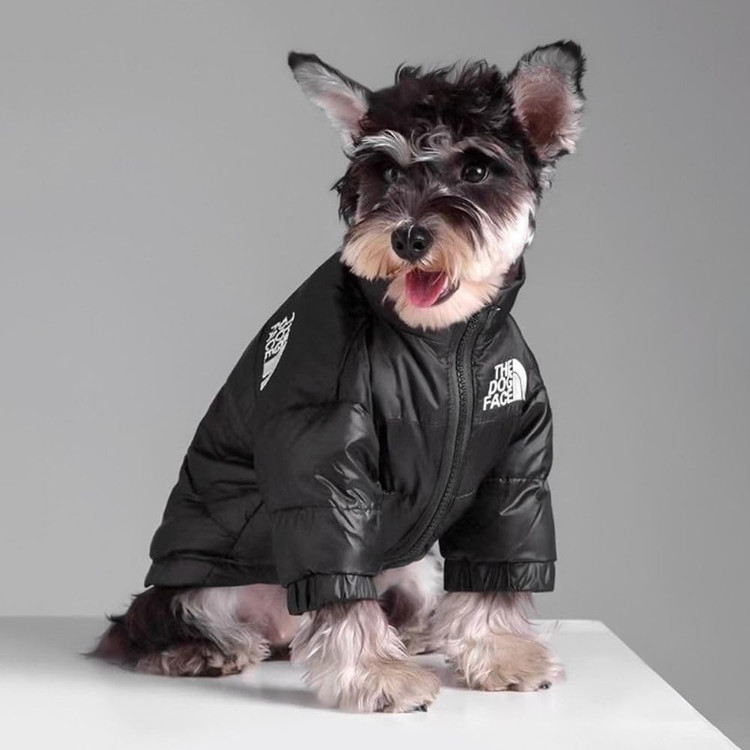 با جلیقه The Dog Face، سگ شما در روزهای سرد سال گرم، راحت و آماده ماجراجویی خواهد بود. 🐾❄️