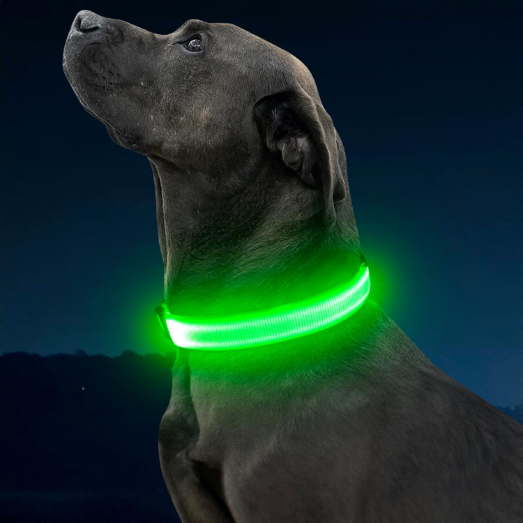 قلاده سگ چراغدار Illumifun، قلاده LED قابل شارژ با درگاه USB-C و درخشان در تاریکی، مجهز به چراغهای ایمنی قابل تنظیم برای پیادهروی شبانه حیوانات خانگی (سبز، سایز متوسط)